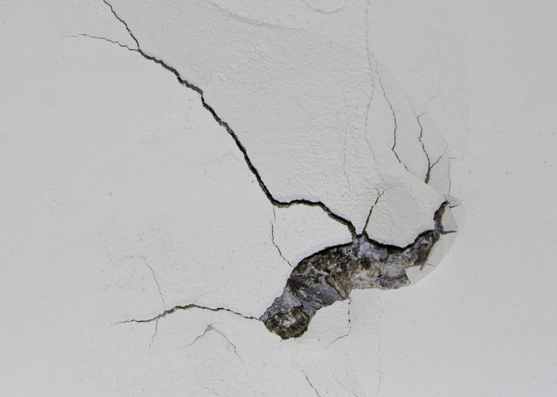 Wall Plaster Repair